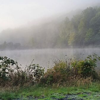 steigender Nebel