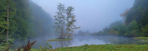 Spessart Hirschbornteche