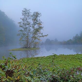 Biberinsel