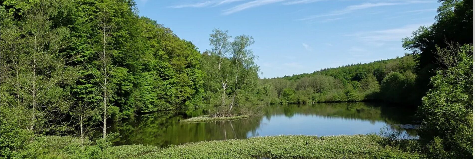 Hirschbornteiche Die Hirschbornteiche